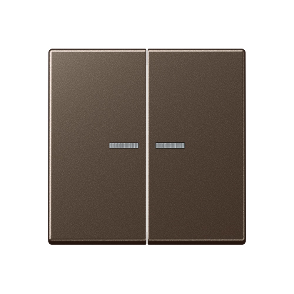 Jung KNX RF Taster 2fach A10921STRFMO