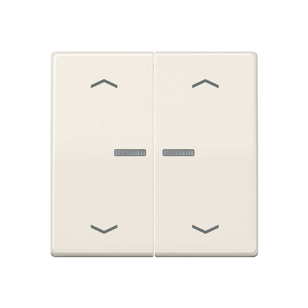 Jung JUNG HOME Taster BTAS17102P