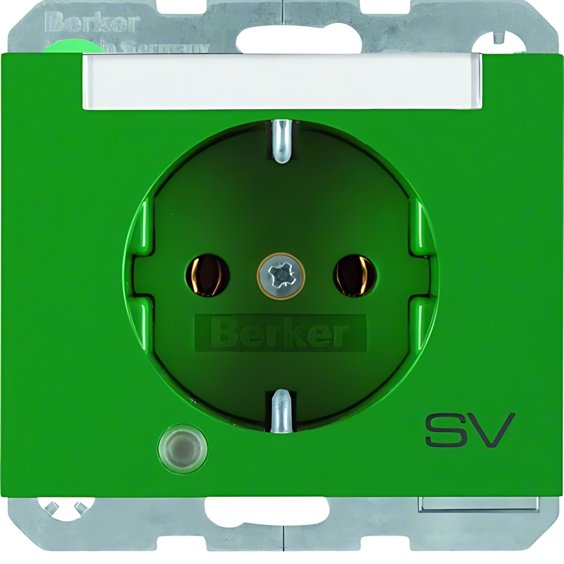 Berker Steckdose 41107113