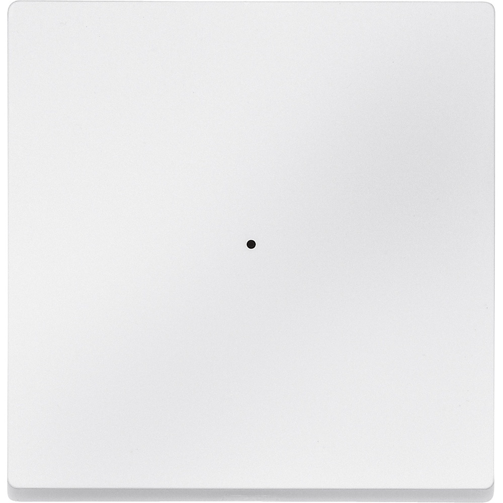 Merten Wippe MEG5210-0419