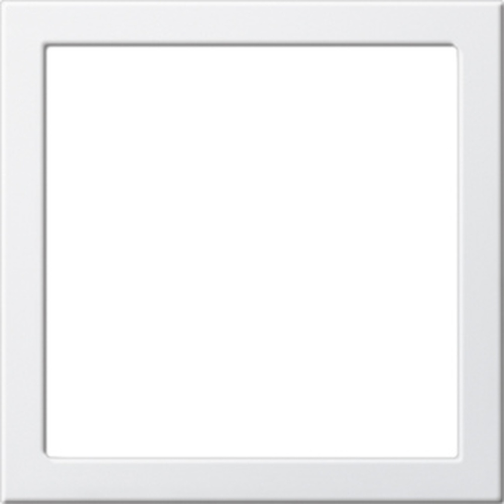 Gira Montagerahmen 264803