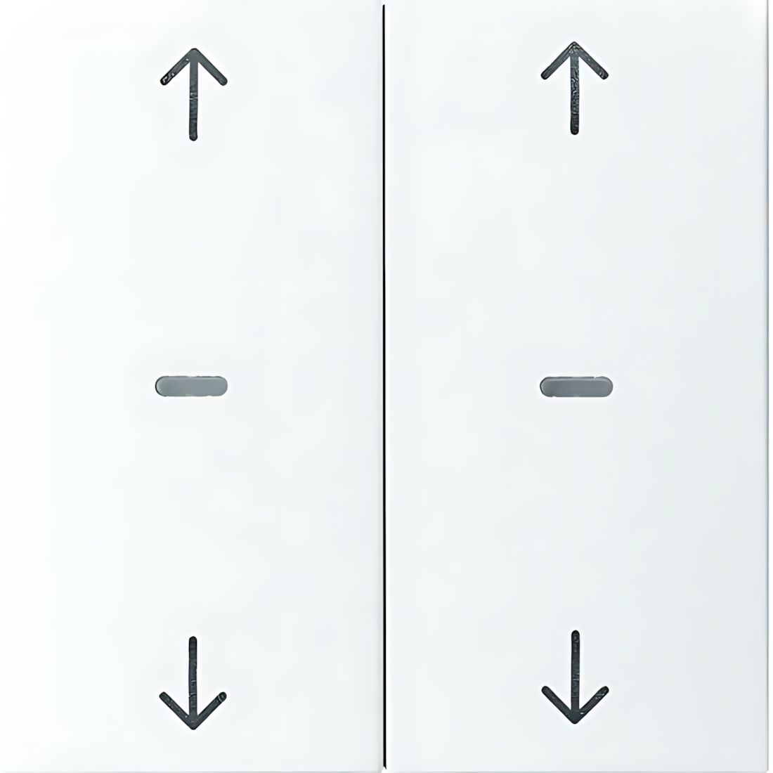 Berker Tastsensor Abdeckung 80961399