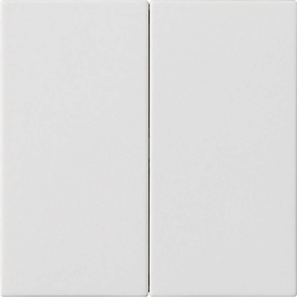 Gira Wippe 2fach 537027