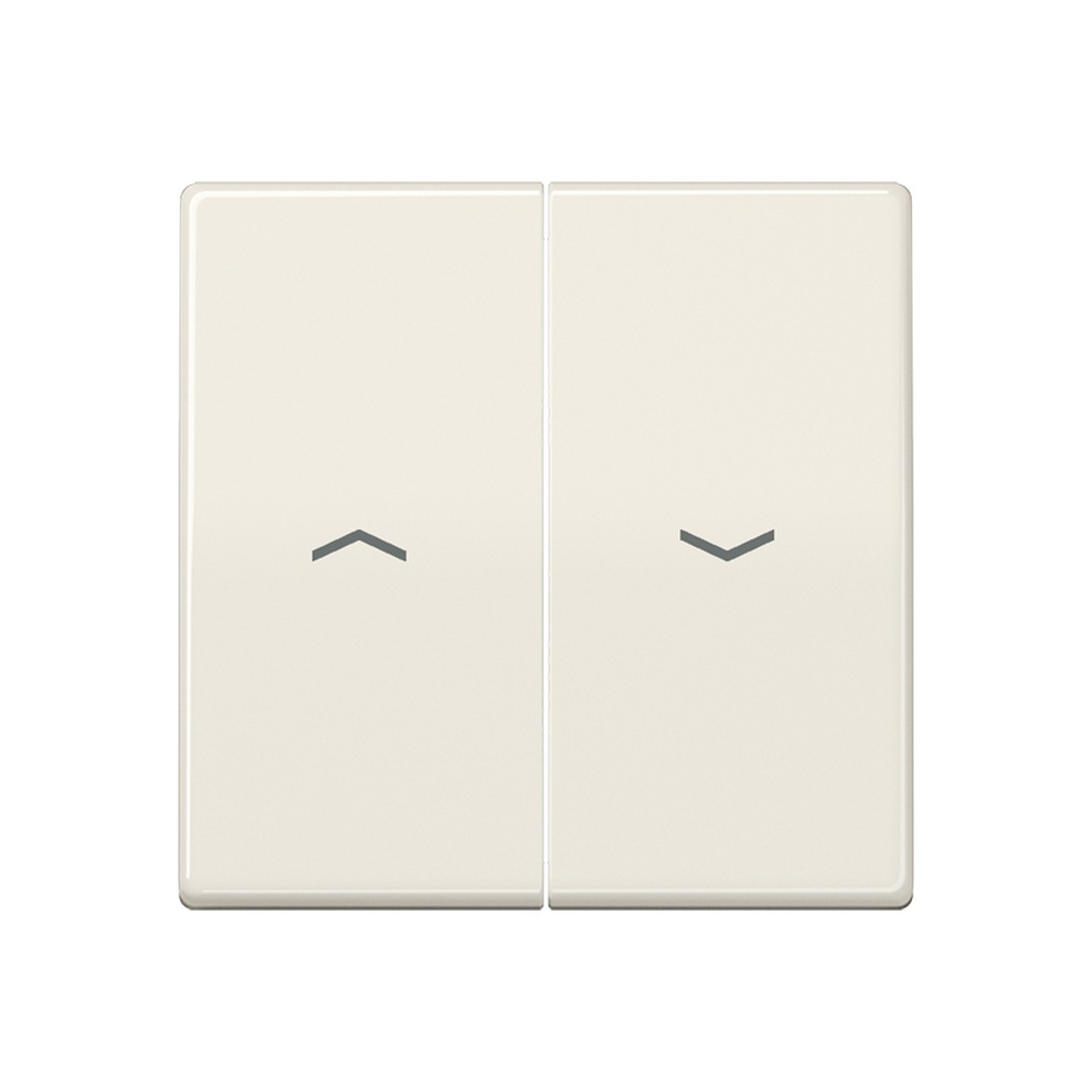 Jung Wippe AS 591-5 P BF