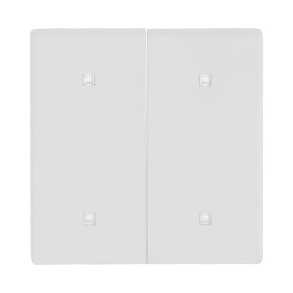 Busch-Jaeger Wippe Elektroniktaster 2fach 2570-20-884 Nr. 2CKA001751A3271