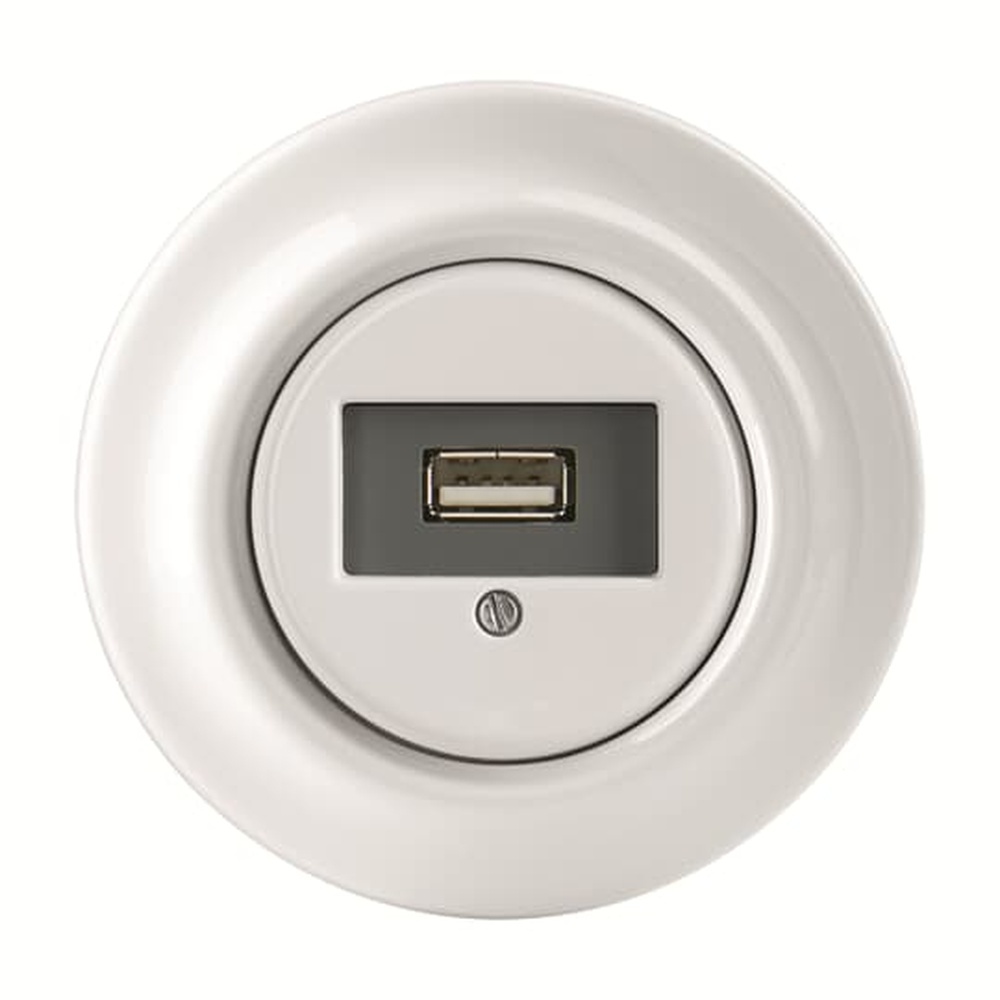 Busch-Jaeger USB Anschlussdose 0261/12 J-64 Nr. 2CHK290420C5300