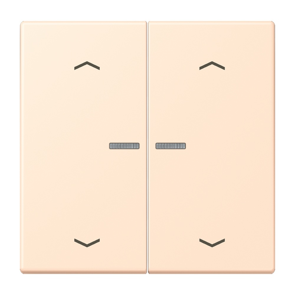 Jung Wippe mit Lichtleiter LC102KO5P238