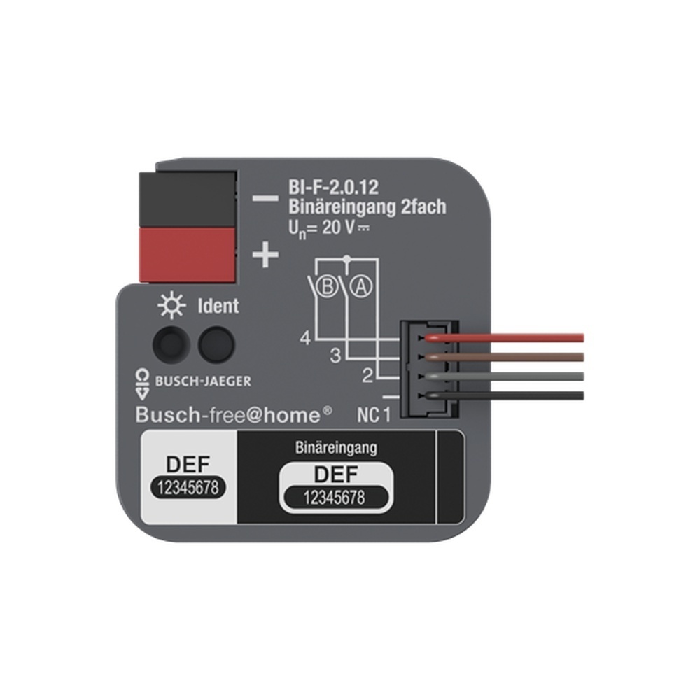 Busch-Jäger Binäreingang BI-F-2.0.12 Nr. 2CDG510023R0021