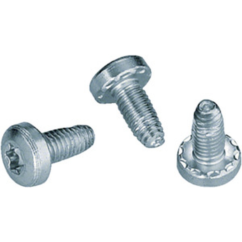 Hager Gewindeformschraube FZ413XE