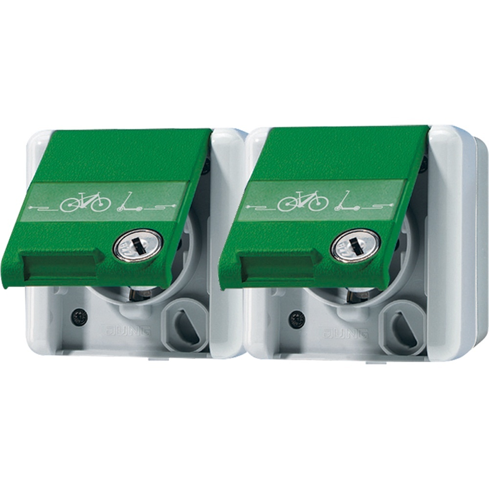 Jung SCHUKO® Steckdose 2fach 8220GNNAWSLEB