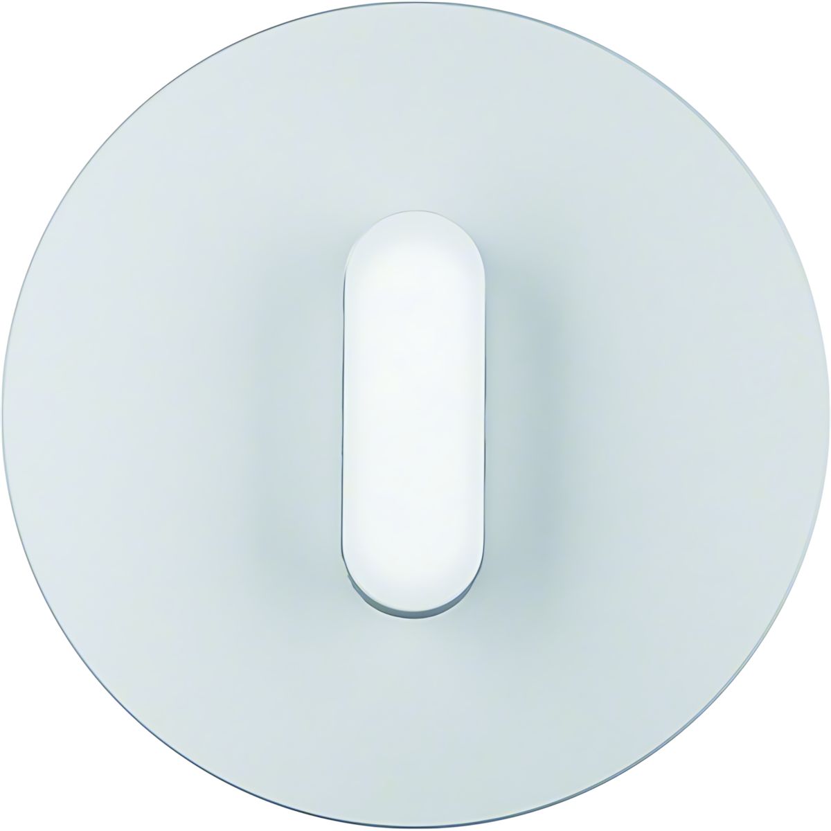 Berker Abdeckplatte 1001207400